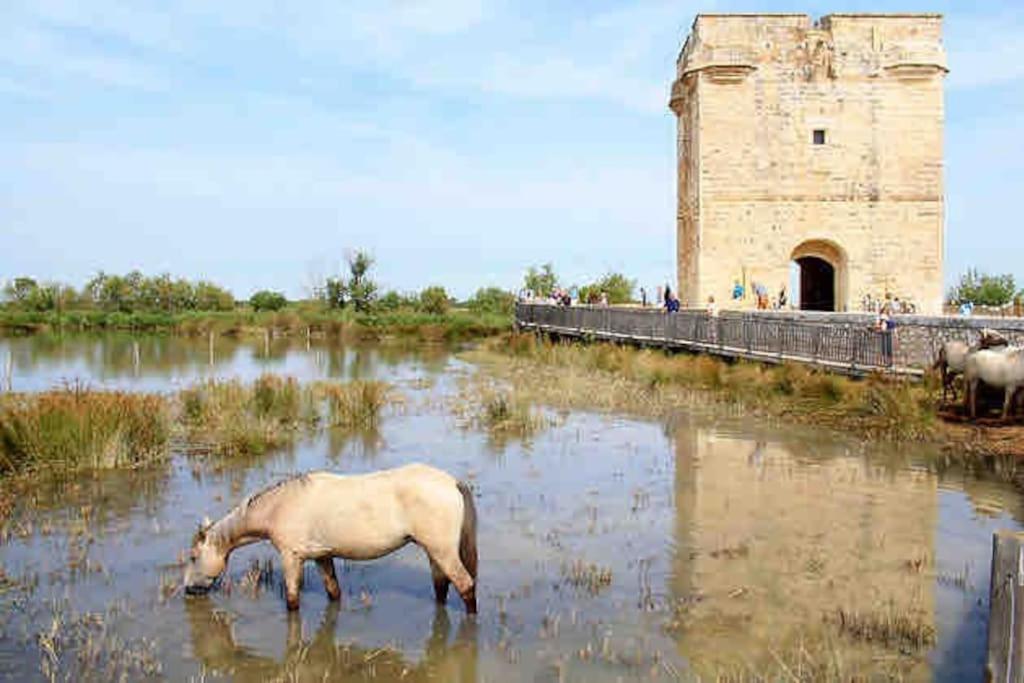 Maison Chaleureuse A 5 Mins Des Remparts إج مورت المظهر الخارجي الصورة
